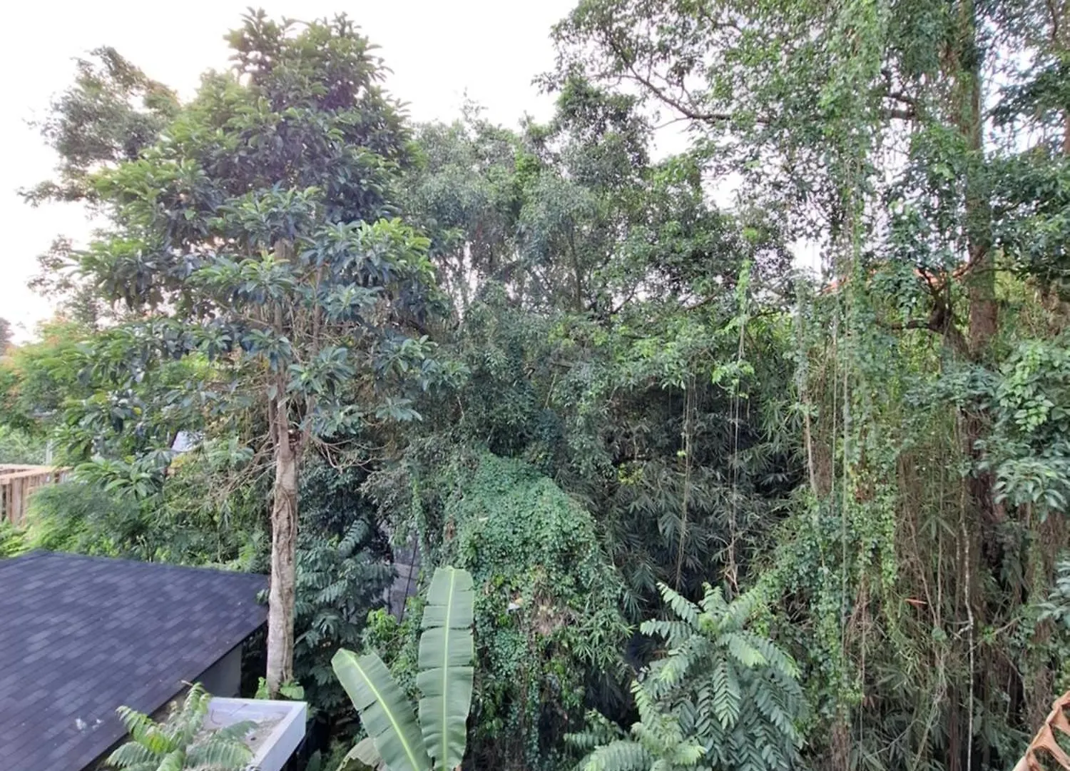 Guest house Palm House Ubud