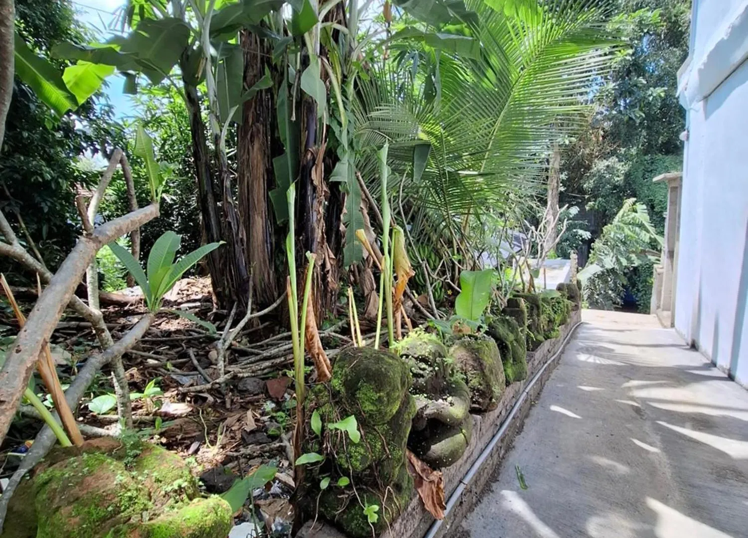 Palm House Ubud Guest house Ubud (Bali)