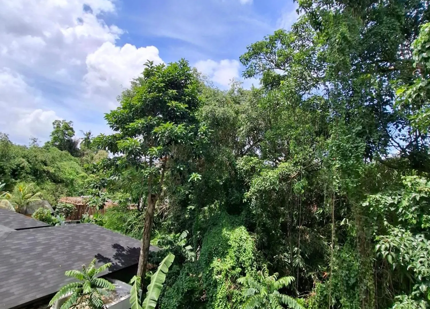 Guest house Palm House Ubud Indonesia