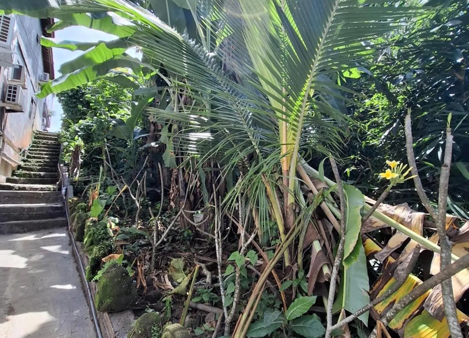 Guest house Palm House Ubud